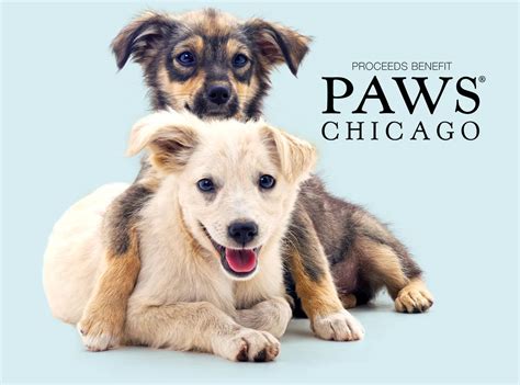 Paws chicago chicago il - 773-935-7297 (PAWS) Monday - Friday: 12pm-7pm. Saturday - Sunday: 11am-5pm. SCHEDULE AN ADOPTION APPOINTMENT: Learn about our in-person adoption …